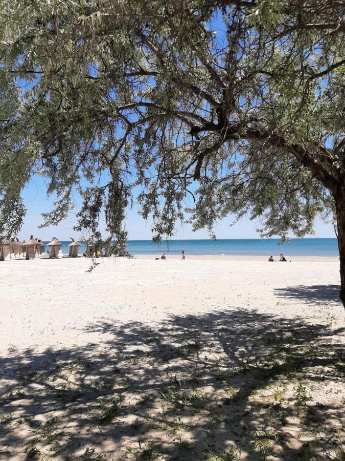 Eka Studio - Pool & Spa Beach Resort Năvodari Kültér fotó